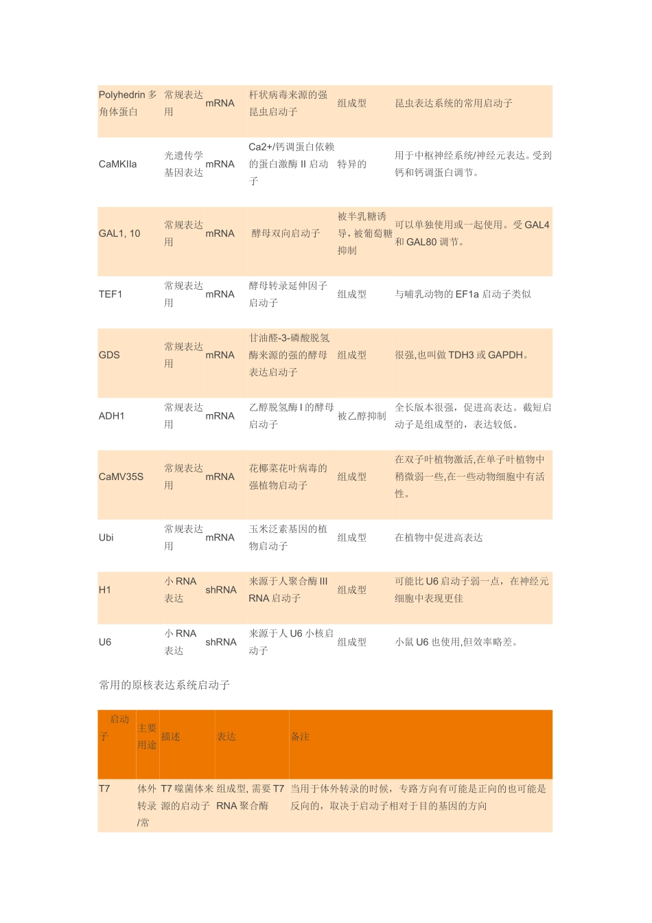 真核启动子知识点梳理汇总_第2页