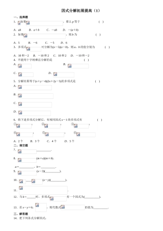 因式分解拓展提高练习测试题