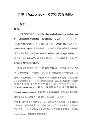 自噬（Autophagy）及其研究方法概述