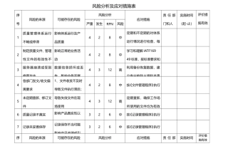 风险分析及应对措施表