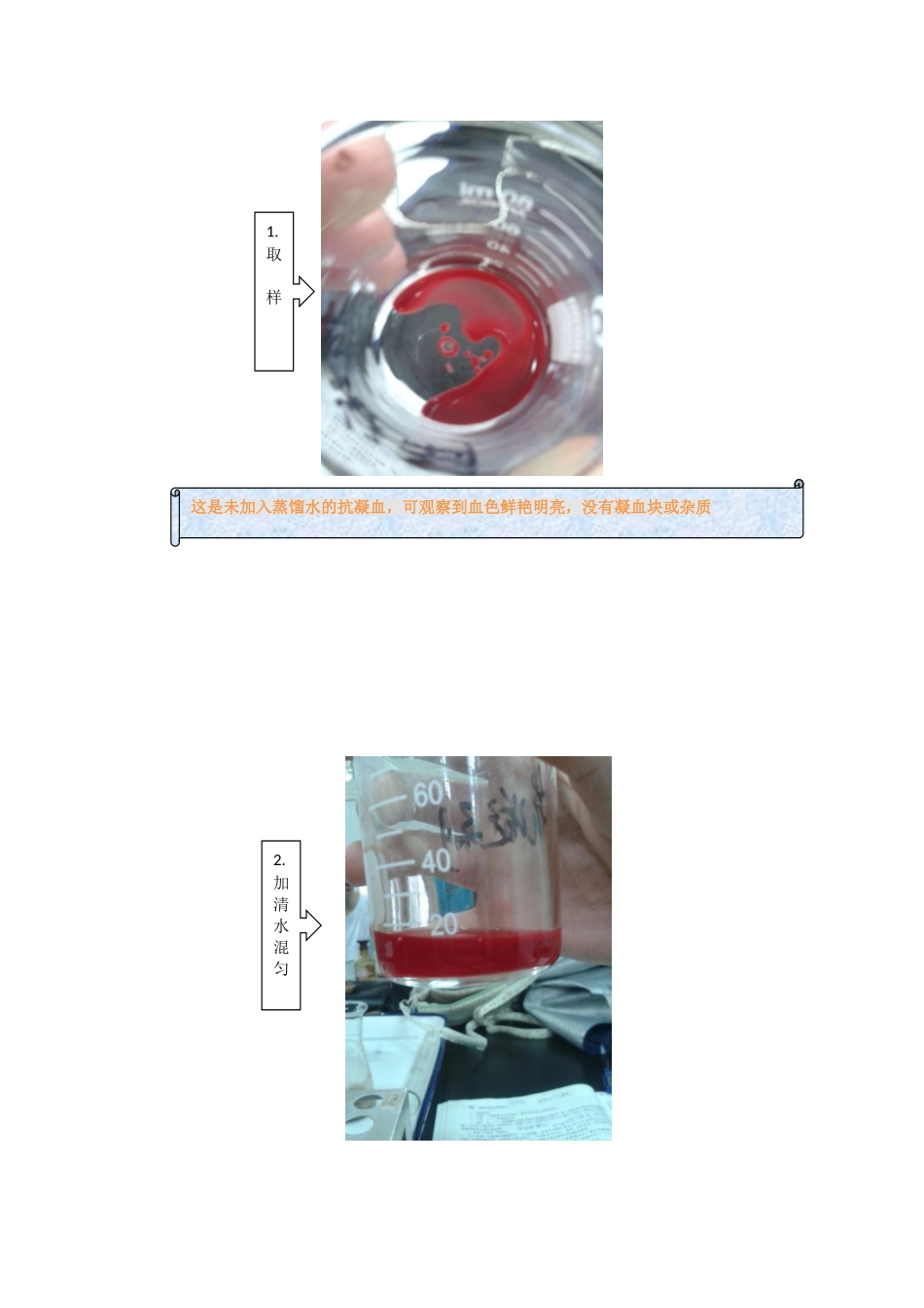实验一 无蛋白血滤液的制备 报告_第3页