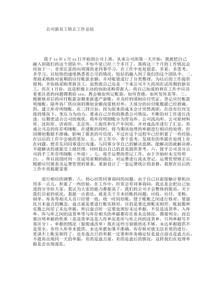 公司新员工转正工作总结