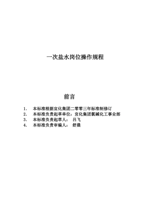 集团有限责任公司企业标准 一次盐水岗位操作规程