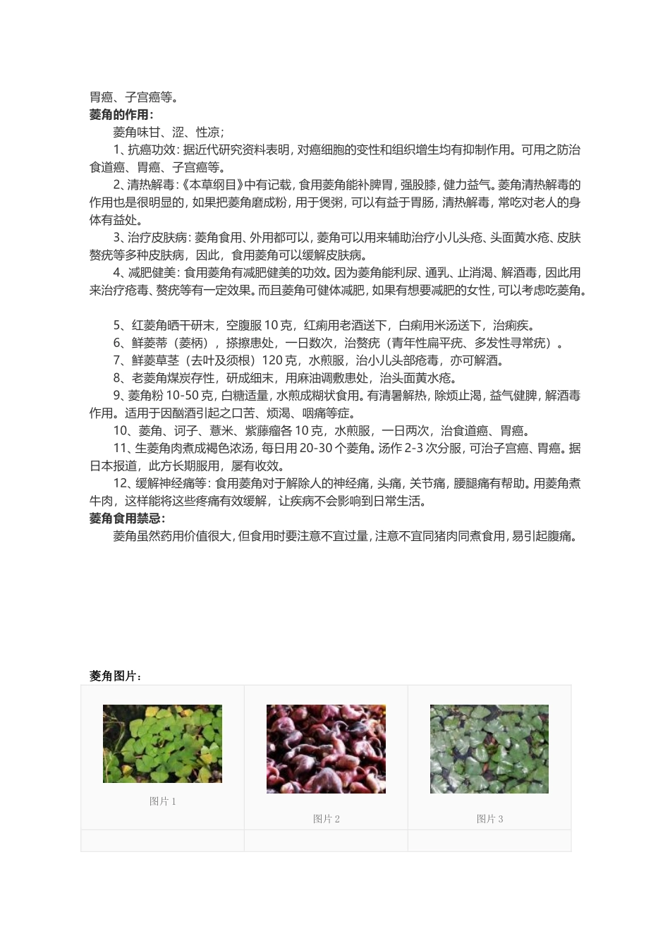 菱角知识点梳理汇总_第2页