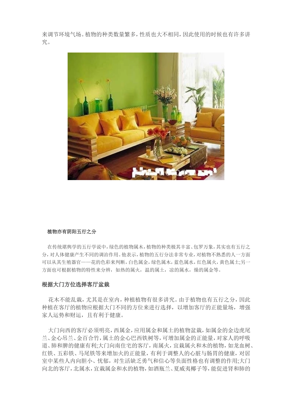 卧室养花禁忌_第3页