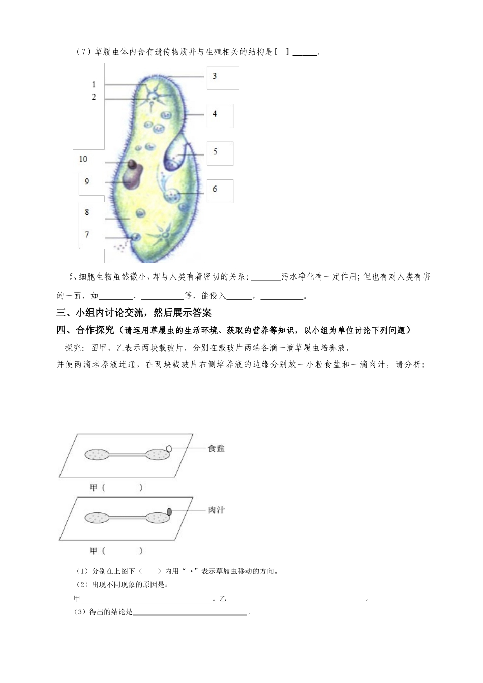 导学案《第四节单细胞生物_第2页