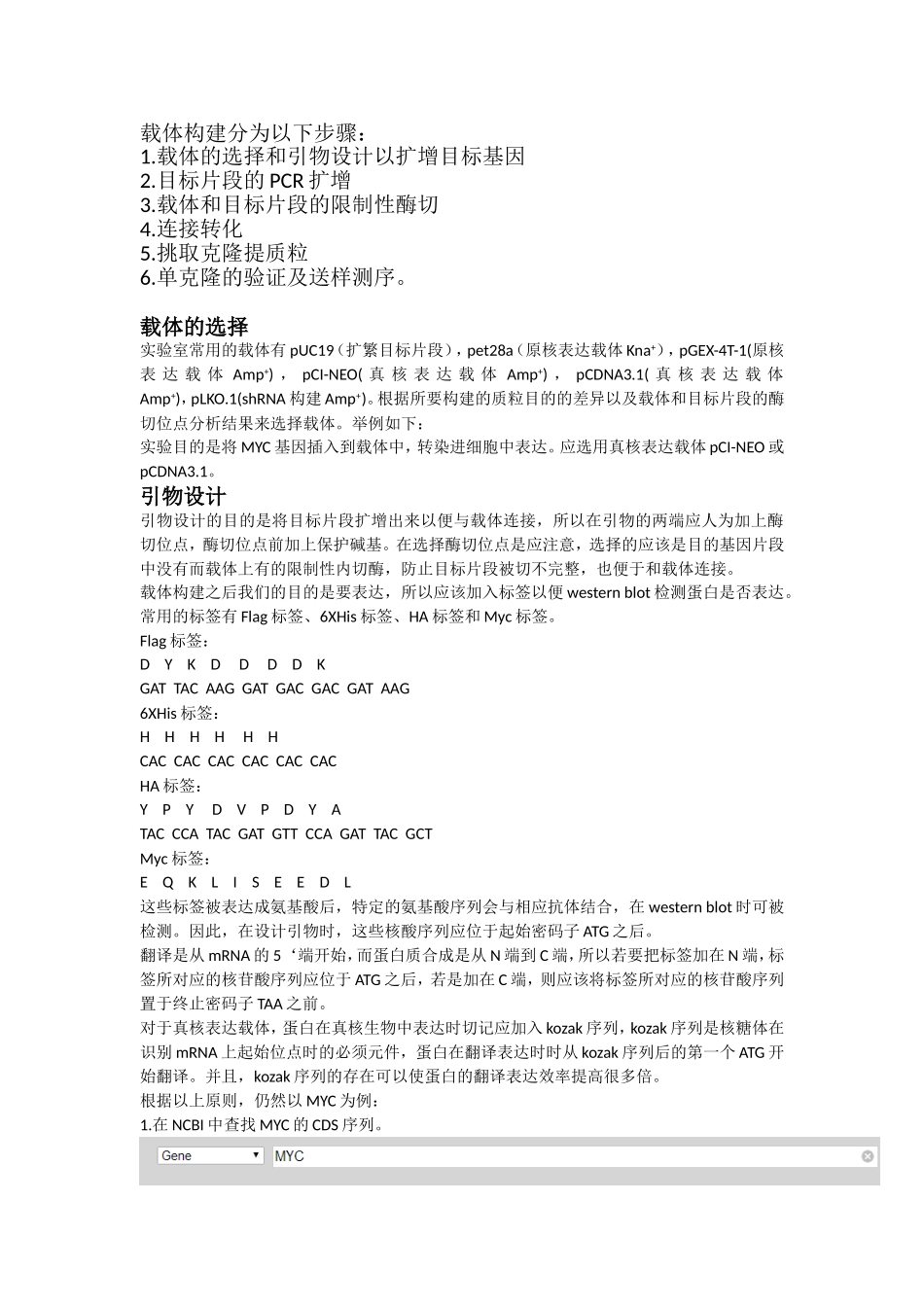 载体构建 步骤_第1页