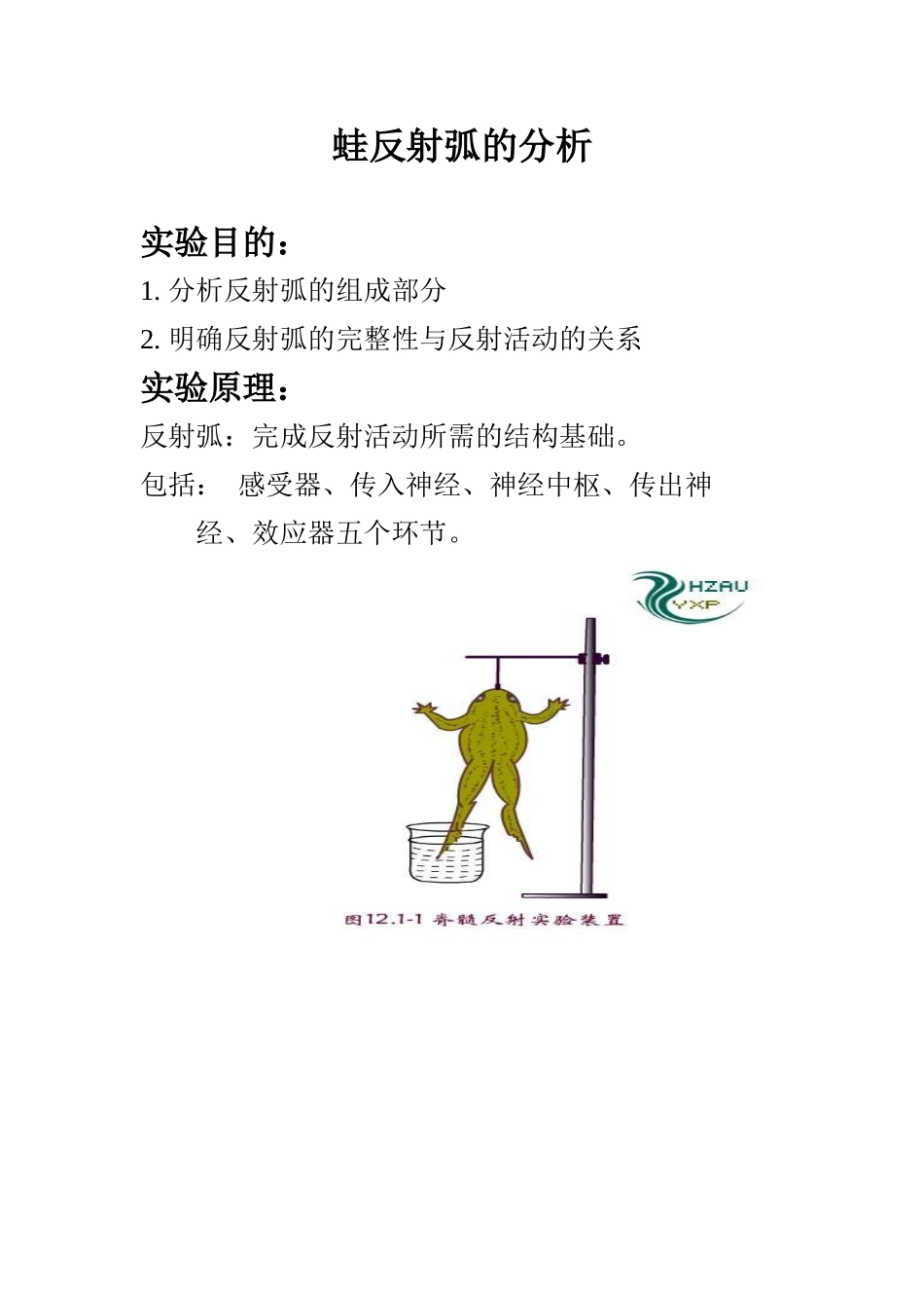 蛙反射弧的分析 实验报告_第1页