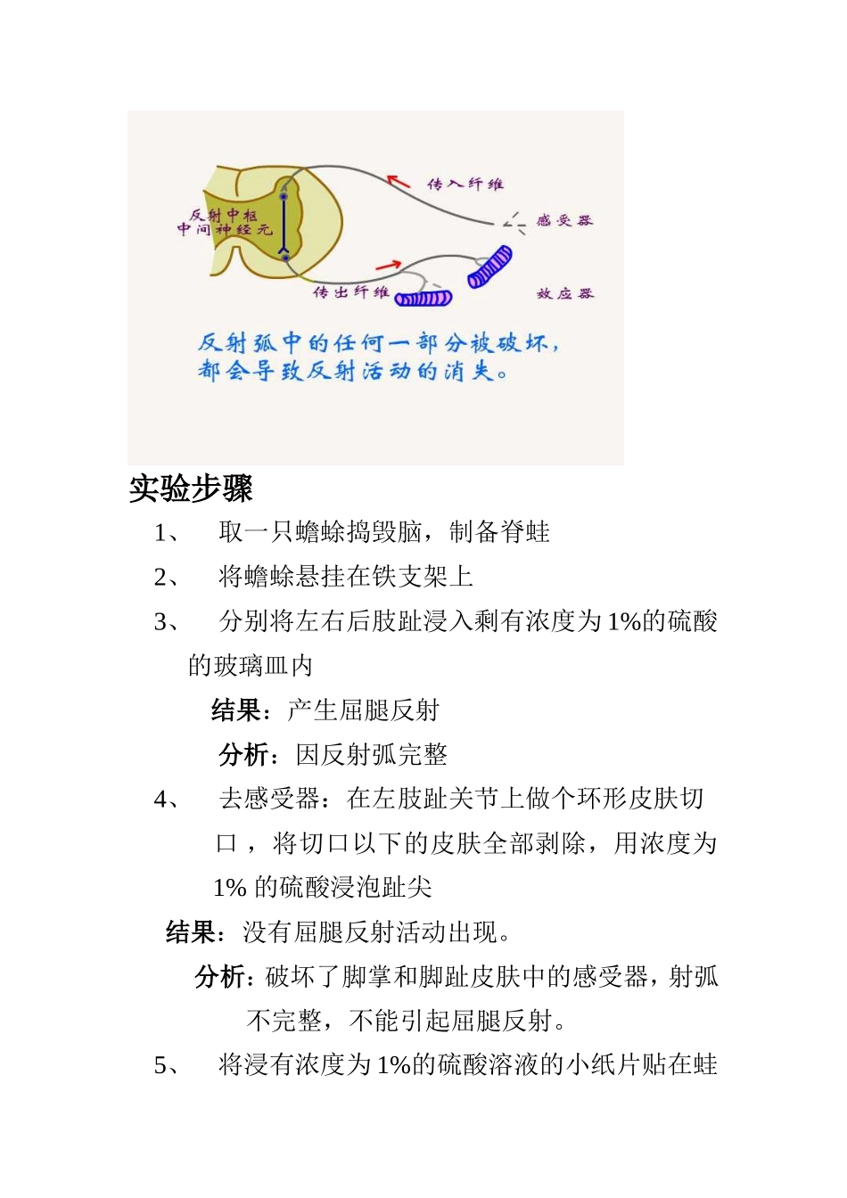 蛙反射弧的分析 实验报告_第2页