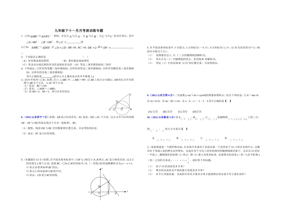 九年级下十一月月考前数学训练专题_第1页