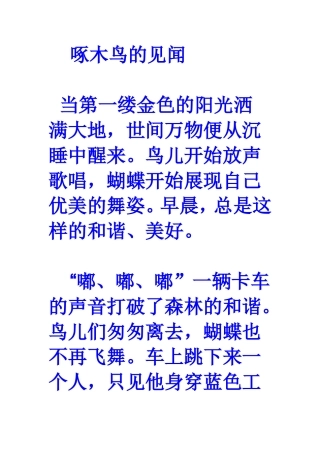 啄木鸟的见闻