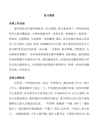 大学生实习周报