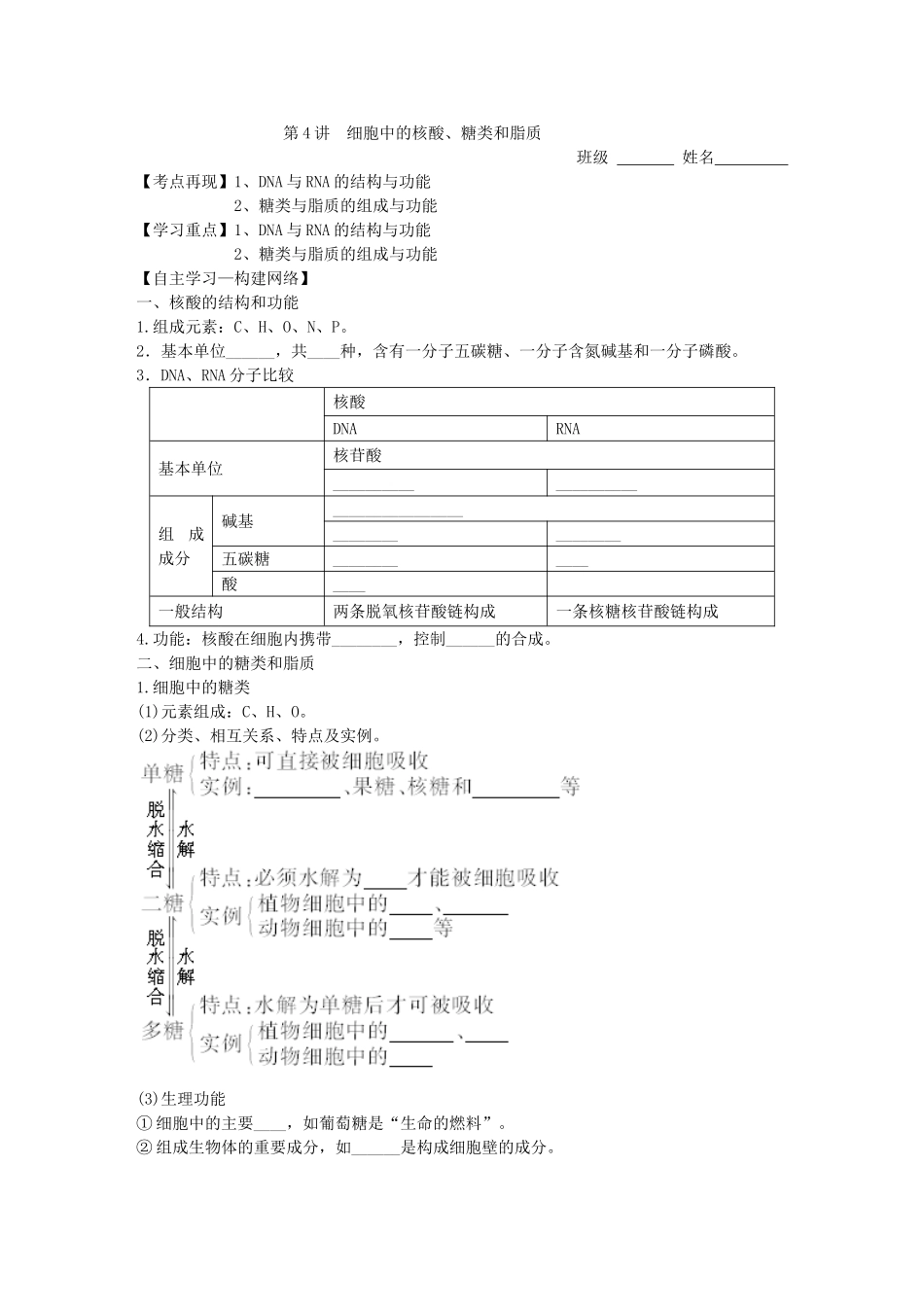 第4讲　细胞中的核酸、糖类和脂质 测试练习题_第1页