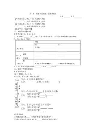 第4讲　细胞中的核酸、糖类和脂质 测试练习题
