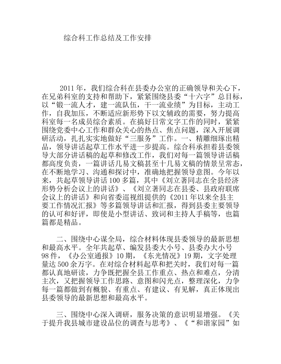 综合科工作总结及工作安排_第1页