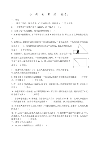 小升初数学考试模拟试卷