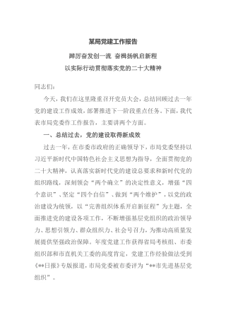 某局党建工作报告