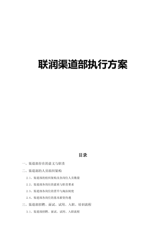 年度联润渠道部执行方案