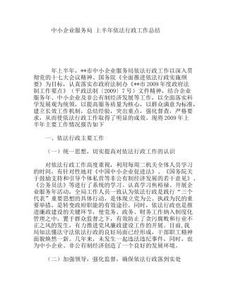 中小企业服务局 上半年依法行政工作总结