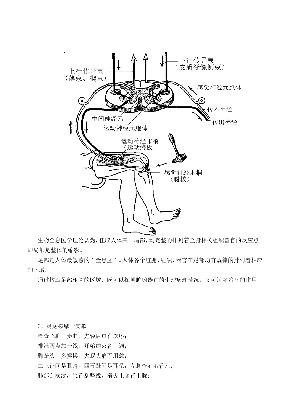 足部推拿疗法的发展简史_第3页