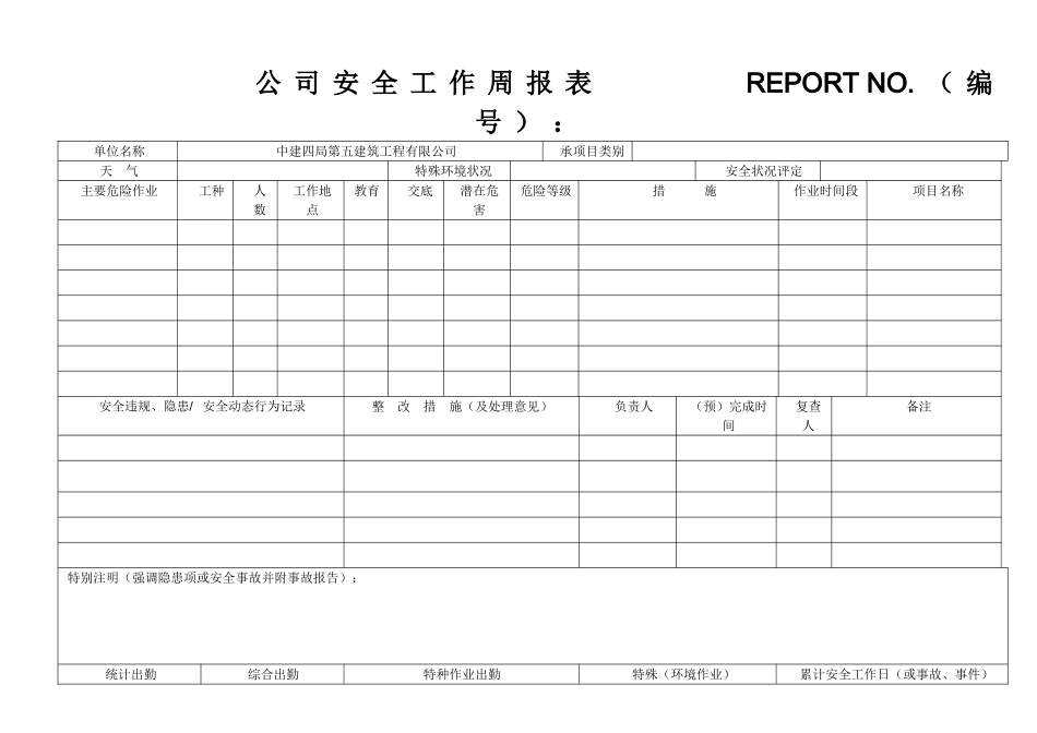 现场安全工作日报表REPORTNO_第3页