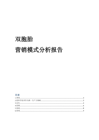 双胞胎营销模式分析报告