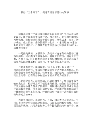 抓好“五个环节”，促进农村青年劳动力转移