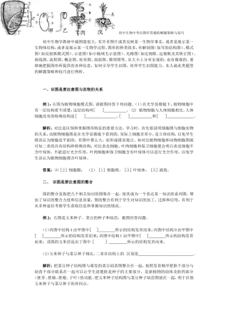 初中生物中考识图作答题的解题策略与技巧