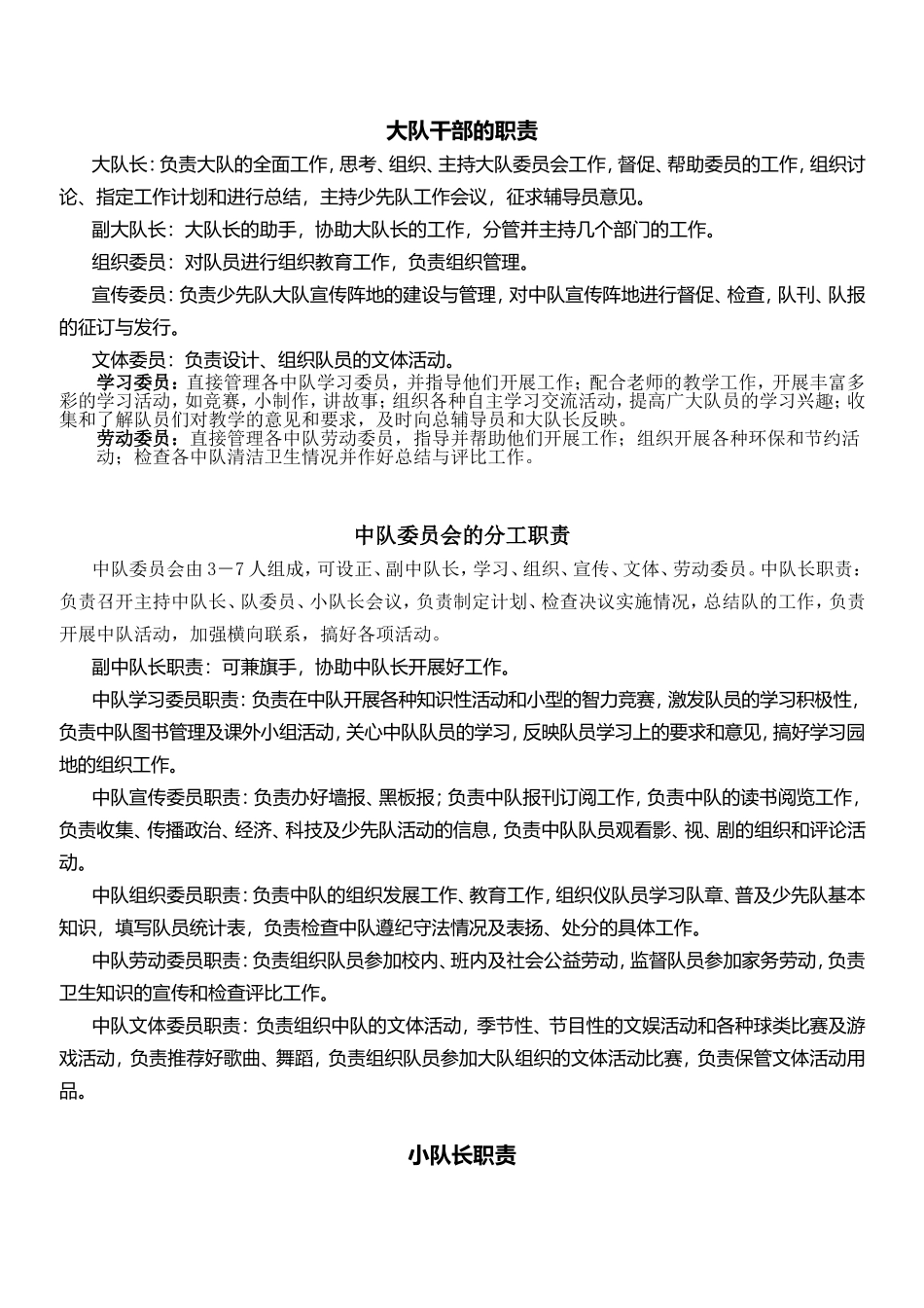 学校少先队工作管理职责_第3页