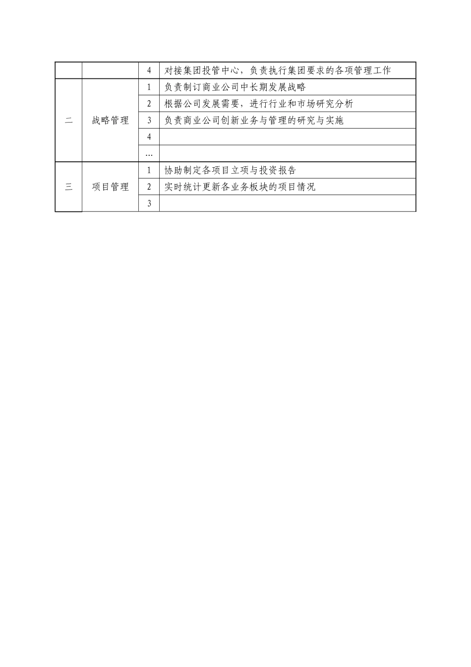 战略发展部职能说明书_第3页