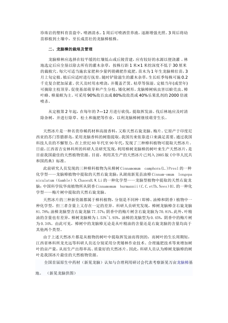 龙脑樟种植技术_第2页