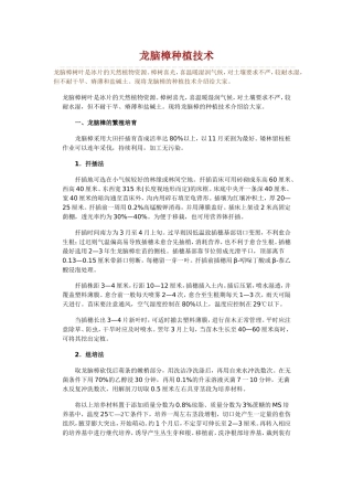 龙脑樟种植技术