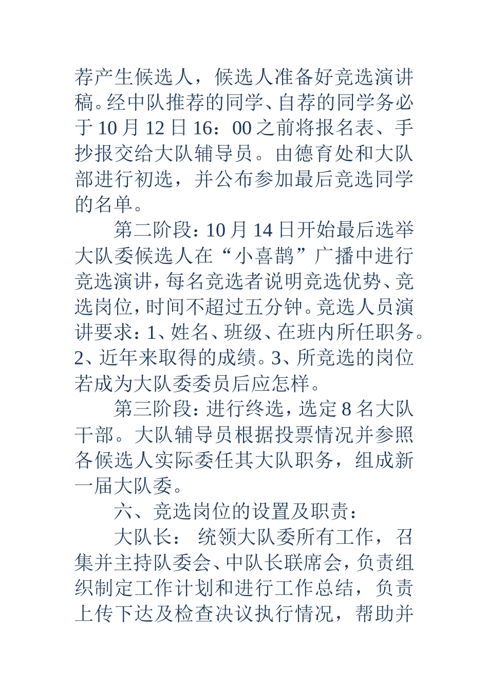 少先队大队委竞选方案(精选多篇)_第3页