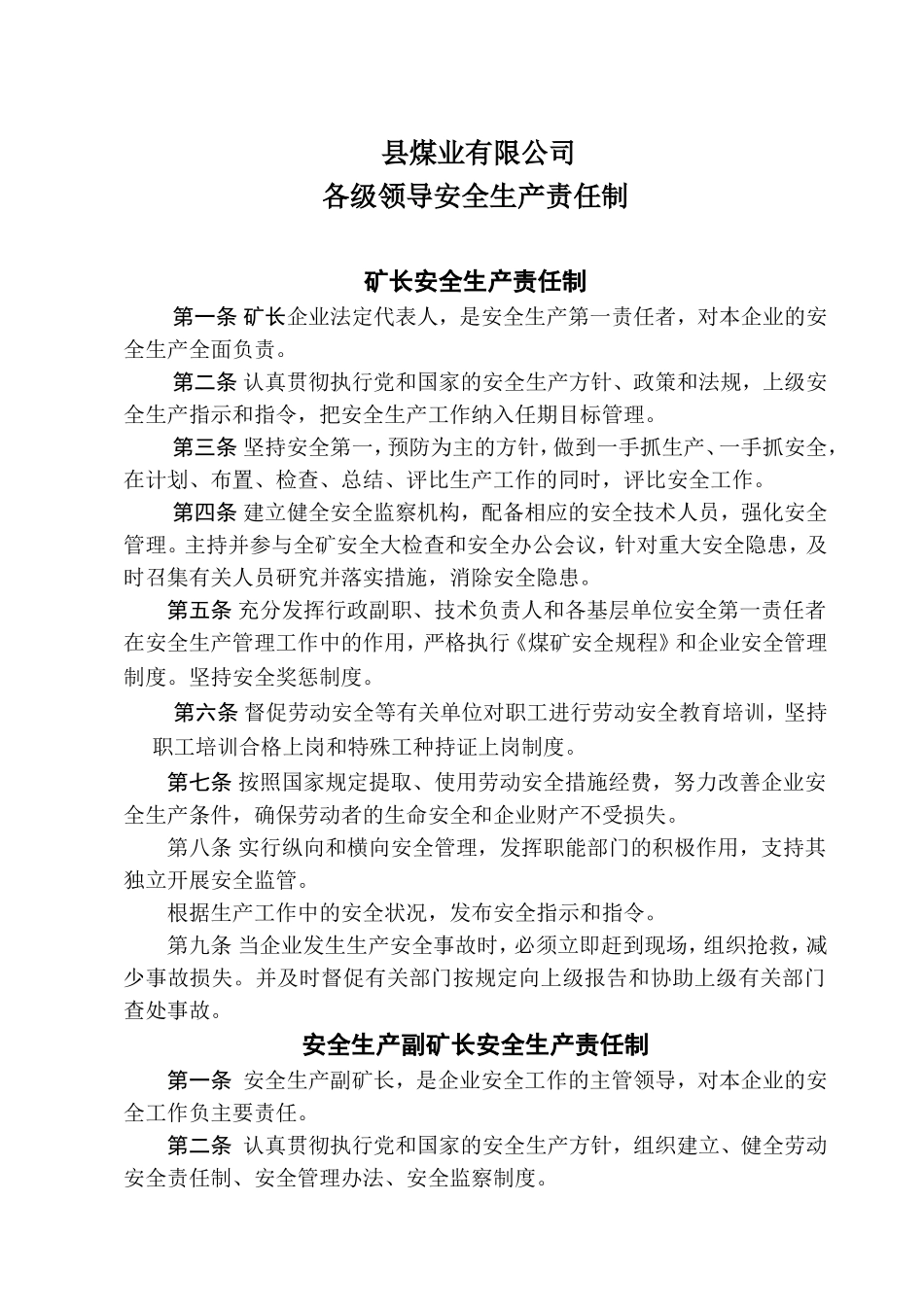 县煤业有限公司各级领导安全生产责任制_第1页