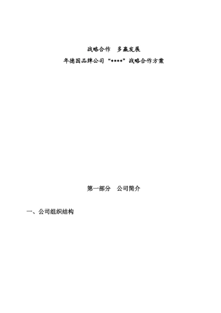 德国品牌汽车公司“”战略合作方案