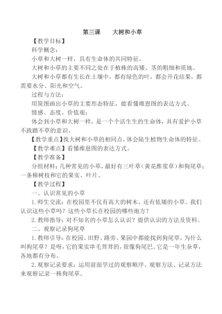 第三课  大树和小草 教学设计
