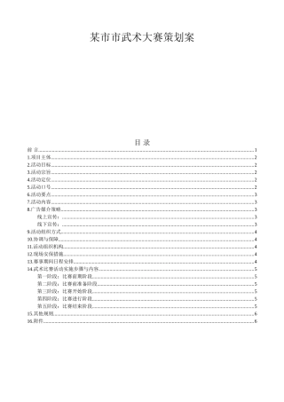 某市市武术大赛策划案