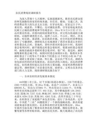 农民消费现状调研报告