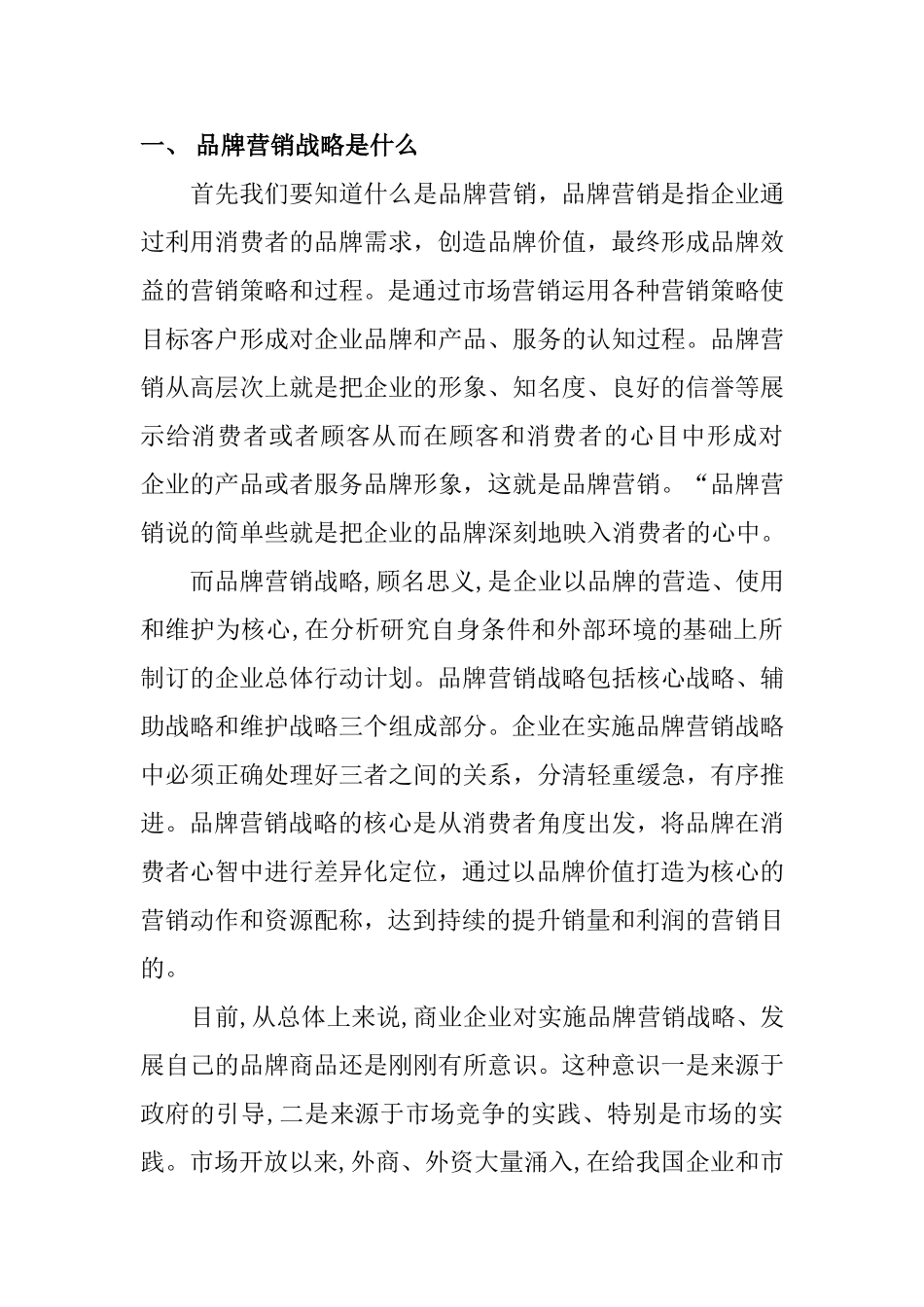 品牌营销战略分析研究_第2页