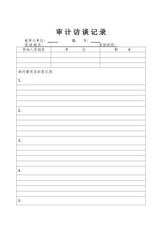 审计访谈记录表格模板