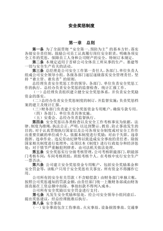 新材料有限公司安全奖惩制度办法