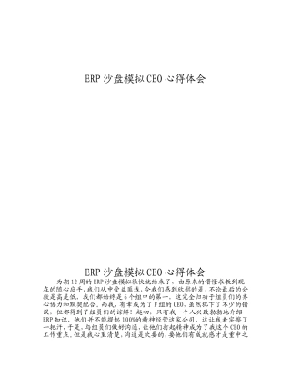 ERP沙盘模拟CEO心得体会 信息管理与信息系统