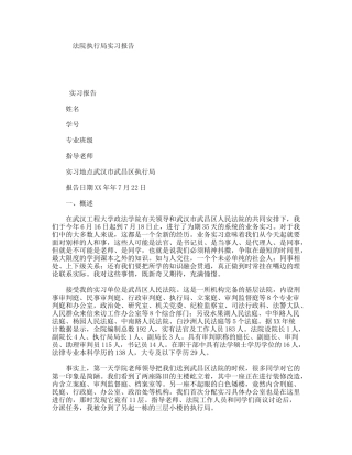 法院执行局实习报告