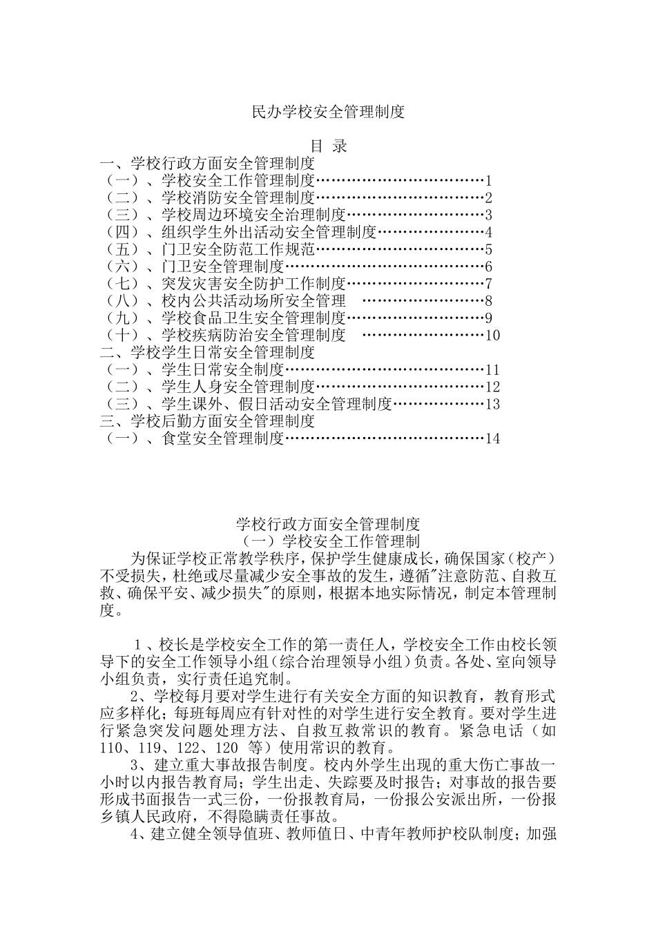 民办学校安全管理制度_第1页
