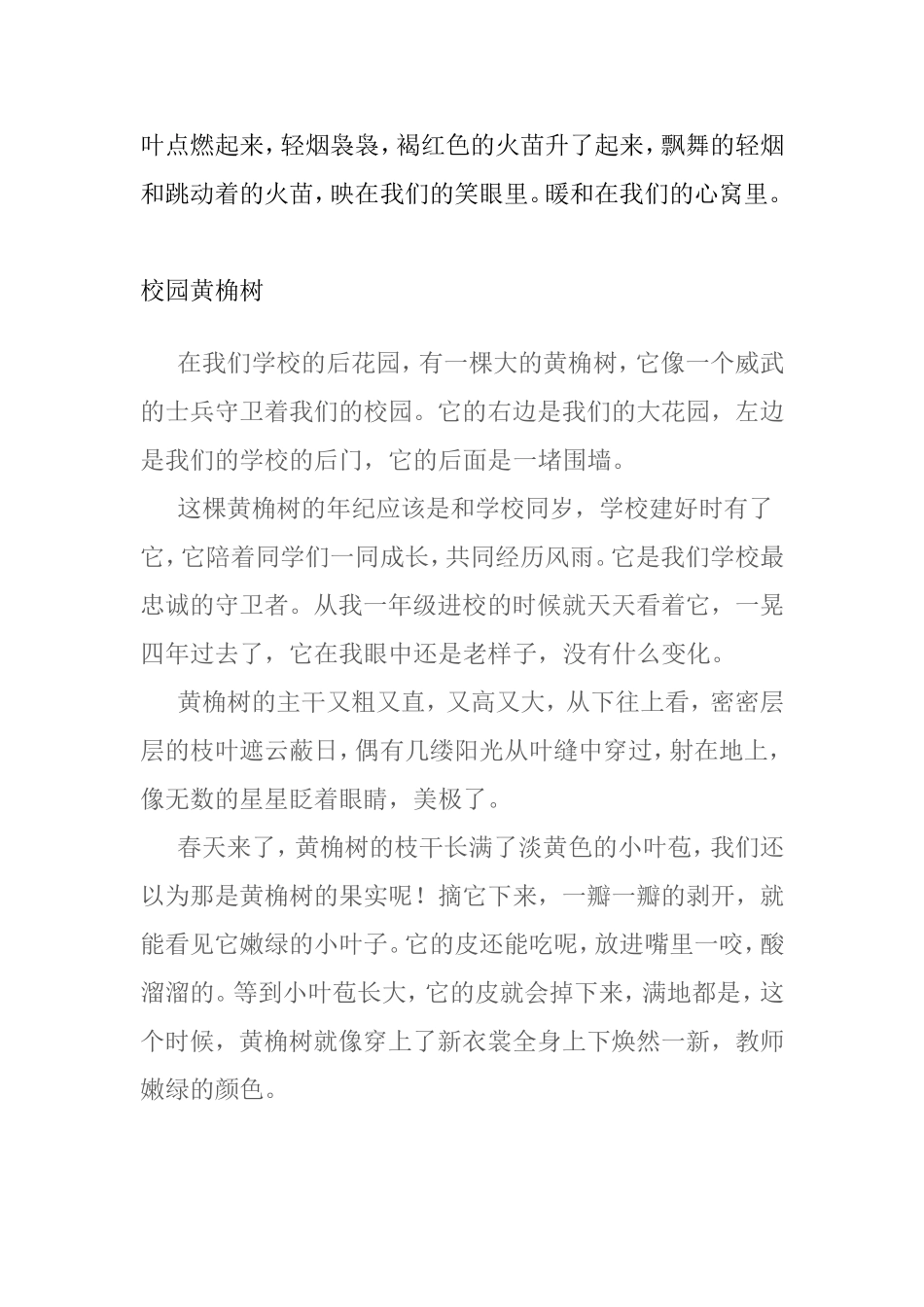 高大的黄桷树 作文_第2页