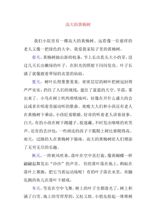 高大的黄桷树 作文