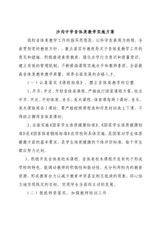 沙沟中学音体美教学实施方案