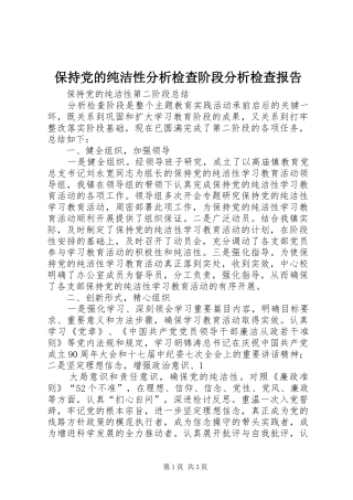 保持党的纯洁性分析检查阶段分析检查报告