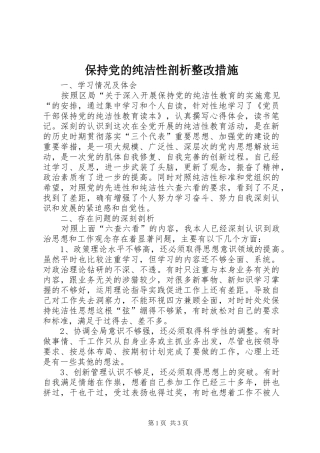 保持党的纯洁性剖析整改措施