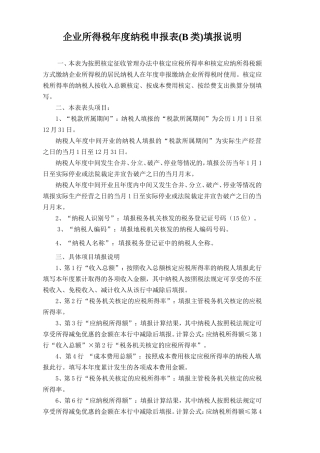 企业所得税年度纳税申报表(B类)填报说明[1]